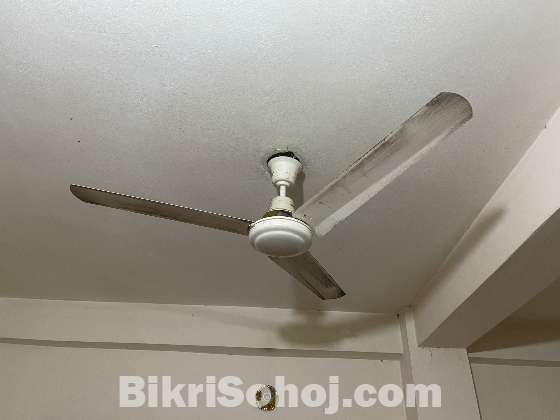 BRB selling fan